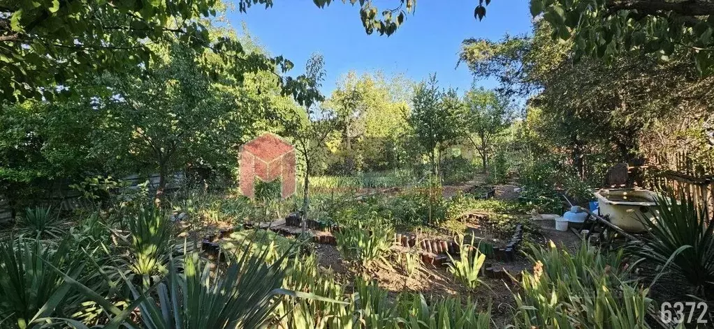 Участок в Севастополь Ветеран садоводческое товарищество, 240 (4.7 ... - Фото 2