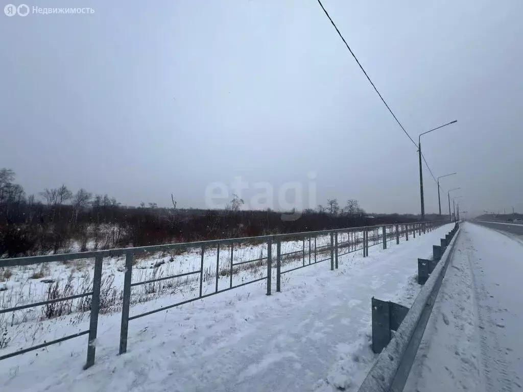 Участок в Камчатский край, Елизово (59 м) - Фото 1