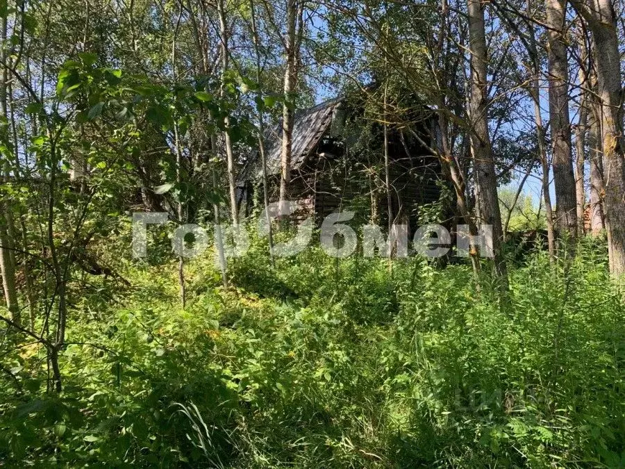 Участок в Московская область, Богородский городской округ, Нерудник ... - Фото 2