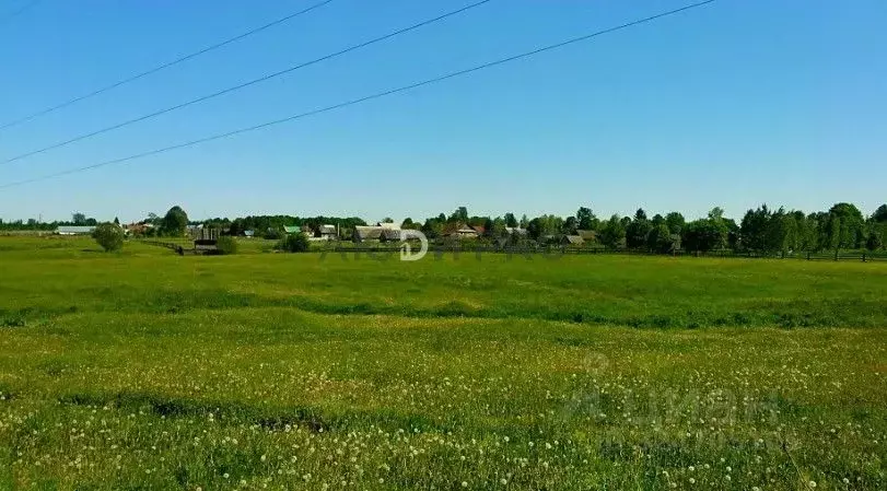 Участок в Башкортостан, Иглинский район, Калтымановский сельсовет, с. ... - Фото 2