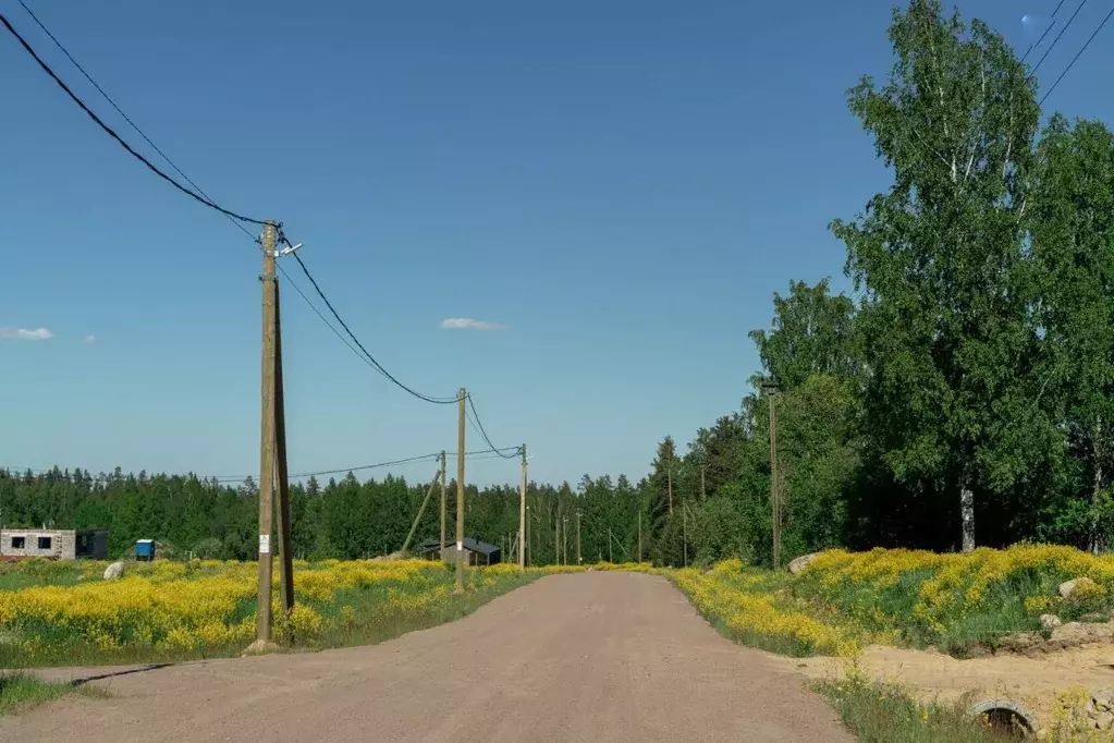Участок в Ленинградская область, Приозерский район, пос. Сосново ул. ... - Фото 1