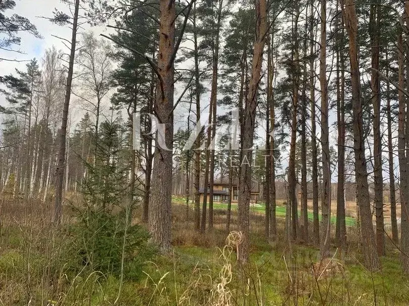 Участок в Ленинградская область, Приозерский район, Громовское с/пос, ... - Фото 2