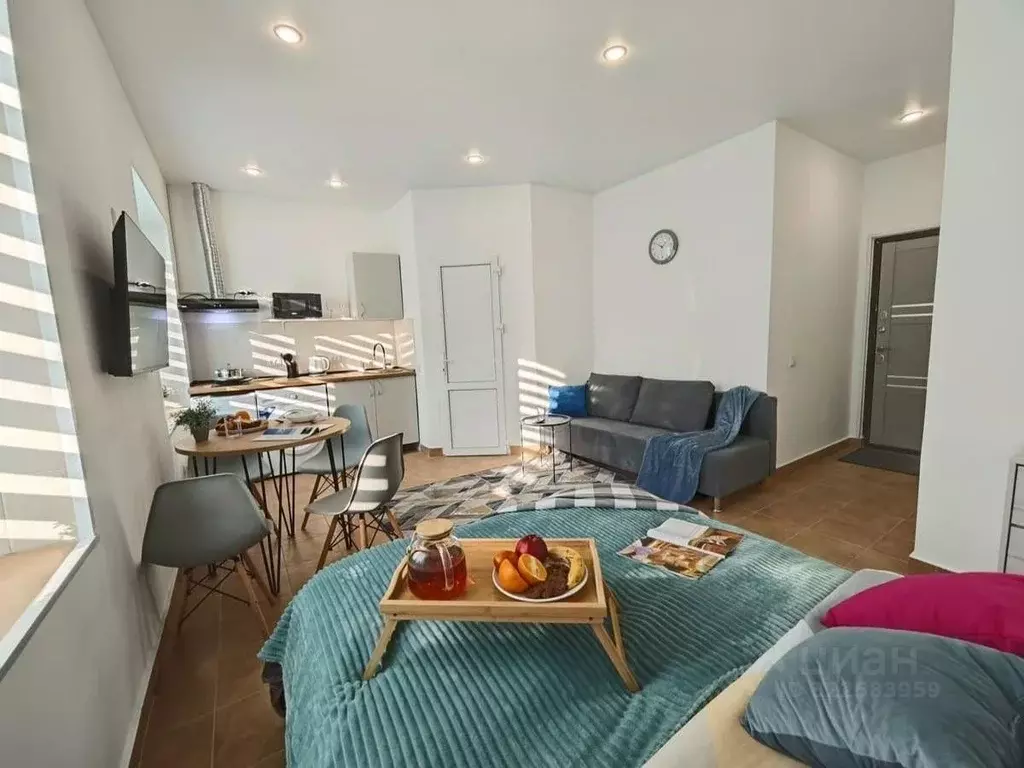 1-к кв. Приморский край, Владивосток ул. Тухачевского, 49/3 (18.0 м) - Фото 2