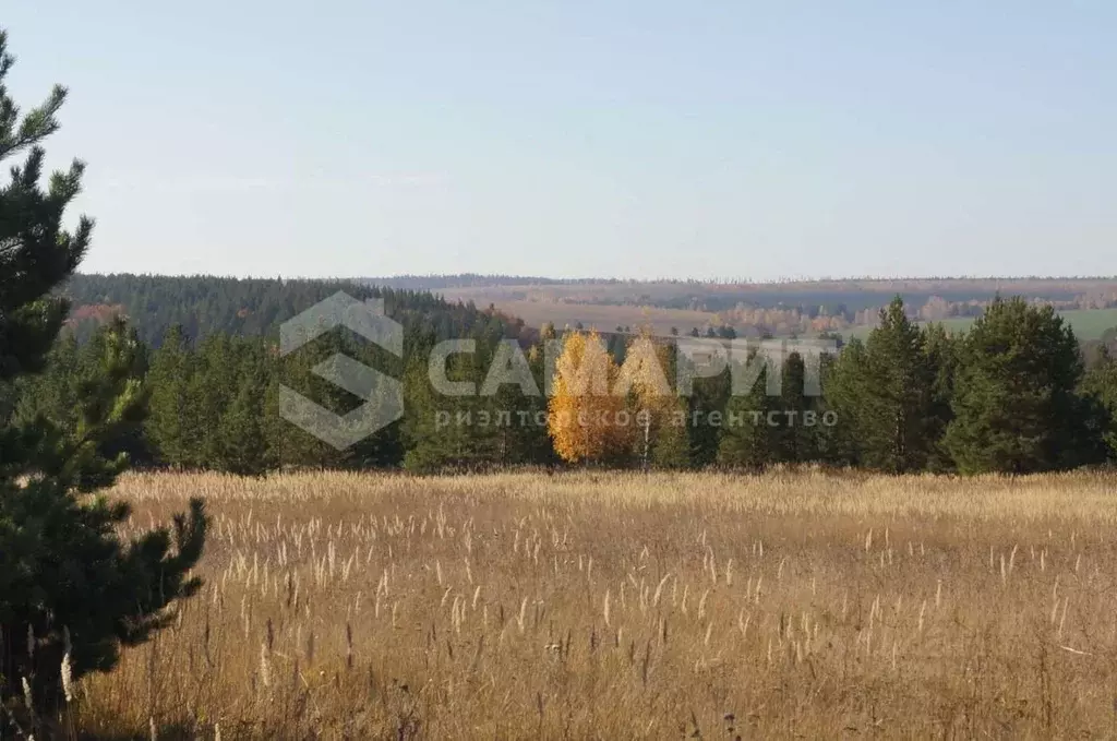 Участок в Самарская область, Красноярский район, д. Николаевка ул. ... - Фото 0