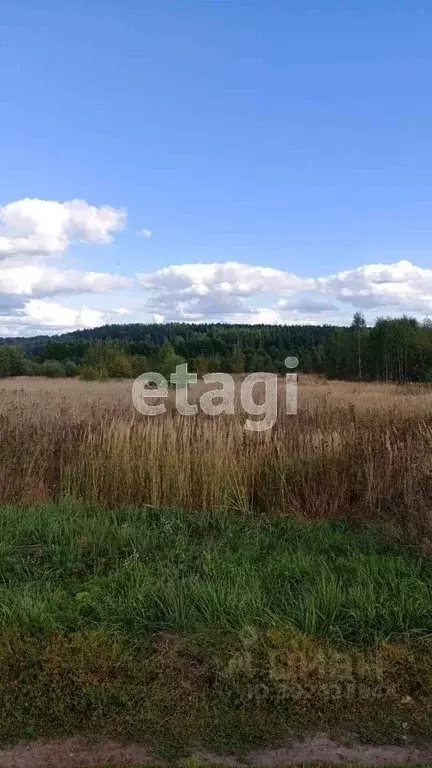 Участок в Владимирская область, Муром  (500.0 сот.) - Фото 1