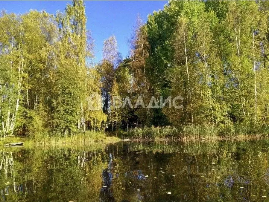 Участок в Ленинградская область, Всеволожский район, Куйвозовское ... - Фото 2