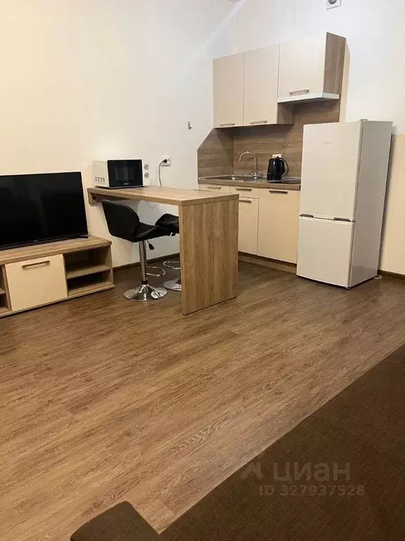 Студия Санкт-Петербург дор. Торфяная, 17к6 (24.0 м) - Фото 0