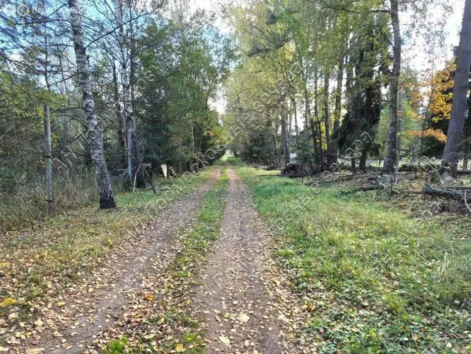 Участок в Одинцовский городской округ, деревня Горышкино, территория ... - Фото 1