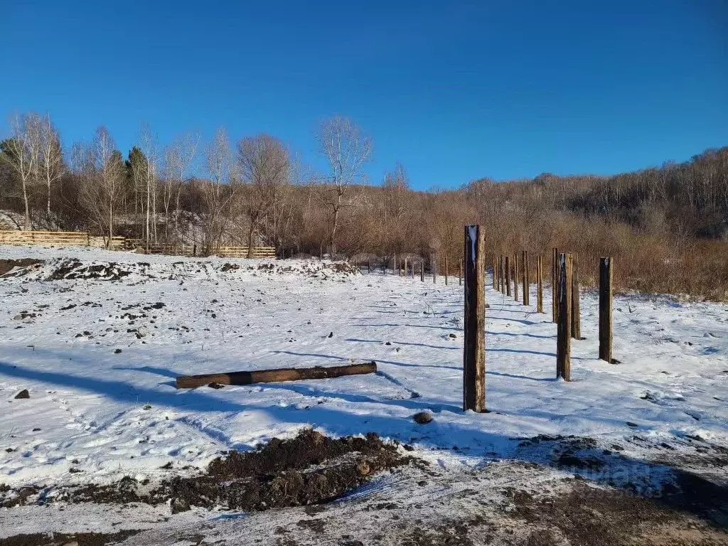 Участок в Алтай, Майминский район, пос. Дубровка  (400.0 сот.) - Фото 1