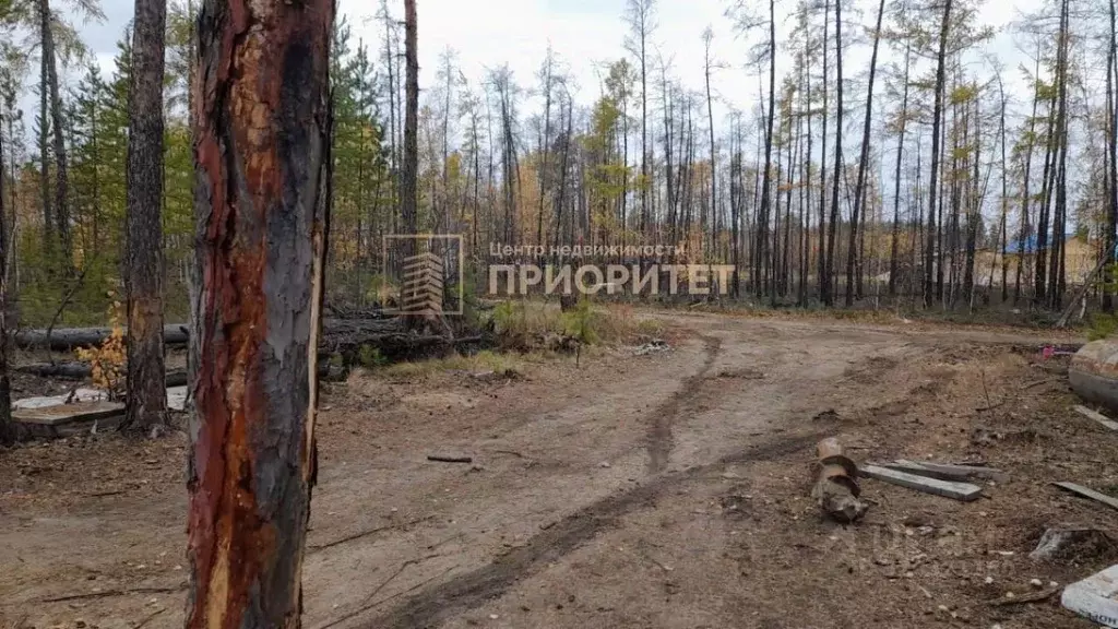 Участок в Саха (Якутия), Мегино-Кангаласский улус, Нижний Бестях пгт  ... - Фото 2