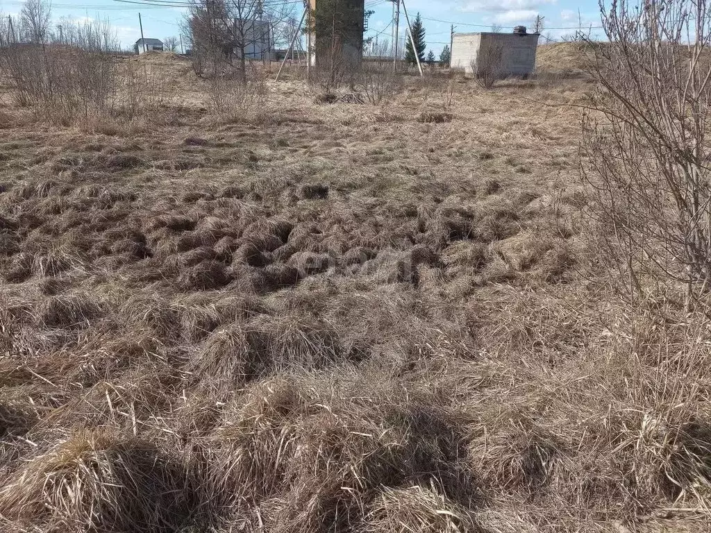 Участок в Ленинградская область, Киришский район, Кусинское с/пос, д. ... - Фото 1
