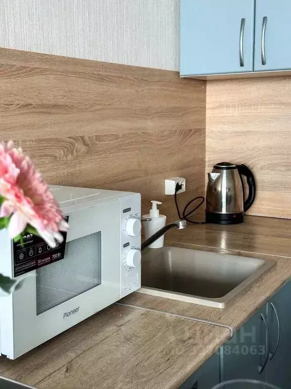 Студия Башкортостан, Уфа ул. Фурманова, 6 (29.0 м) - Фото 2