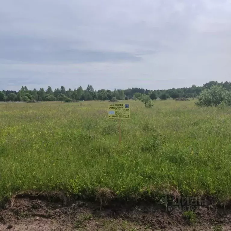 Участок в Московская область, Богородский городской округ, Следово кп ... - Фото 0