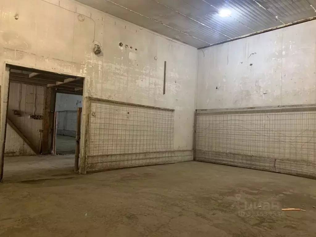 Склад в Кировская область, Киров ул. Потребкооперации, 17/7 (120 м) - Фото 2