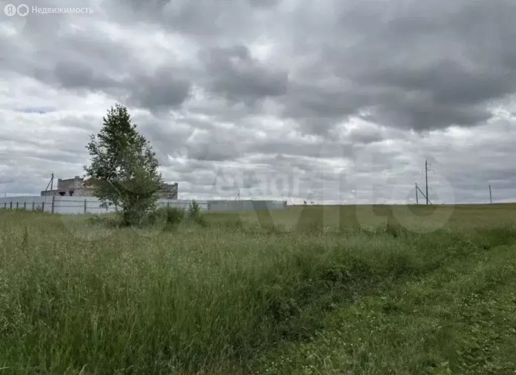 Участок в Чебаркульский район, Травниковское сельское поселение, ... - Фото 0