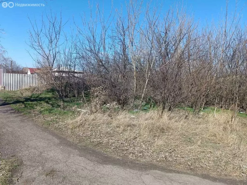 Участок в посёлок городского типа Глубокий, улица Артёма (8 м) - Фото 0