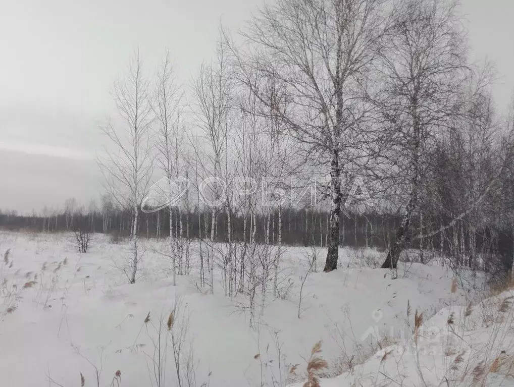 Участок в Тюменская область, Тюменский район, Воскресенье-1 ДНТ ул. ... - Фото 0