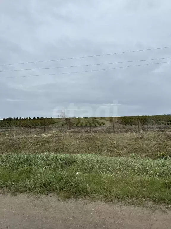 Участок в Тульская область, Алексин городской округ, с. Сотино  (330.0 ... - Фото 1