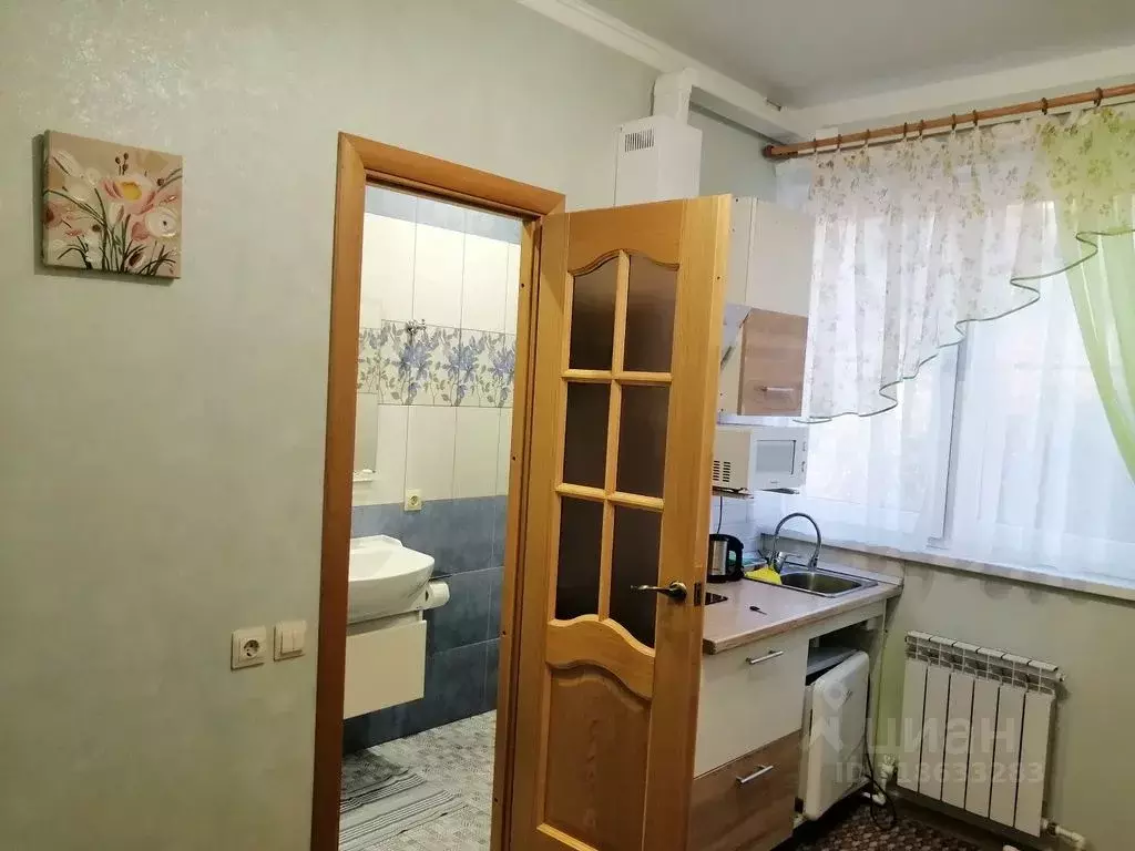 1-к кв. Краснодарский край, Сочи городской округ, с. Верхневеселое ул. ... - Фото 1