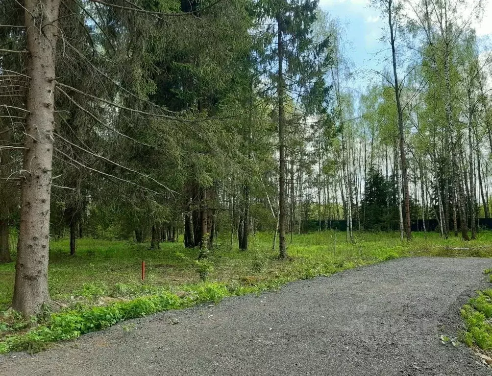 Участок в Московская область, Истра муниципальный округ, д. Красный ... - Фото 2