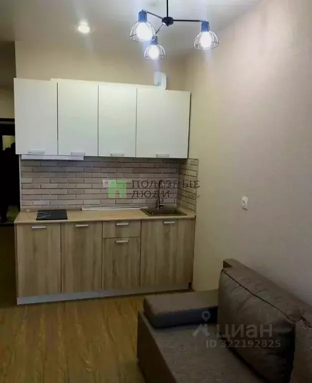 Студия Краснодарский край, Новороссийск Цемдолина тер., ул. Красина, ... - Фото 1