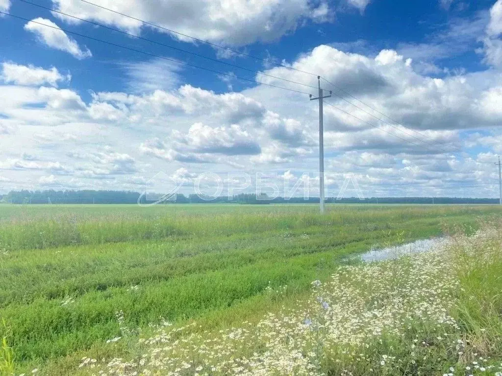 Участок в Тюменская область, Тюменский муниципальный округ, с. ... - Фото 2