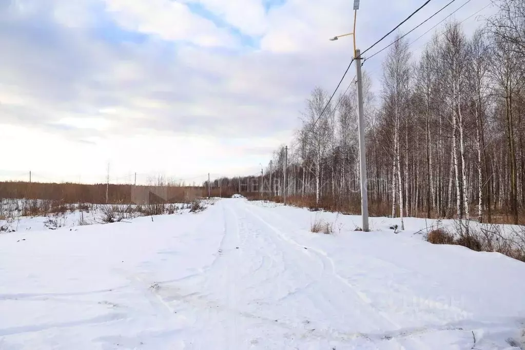 Участок в Тюменская область, Нижнетавдинский район, д. Штакульская  ... - Фото 0