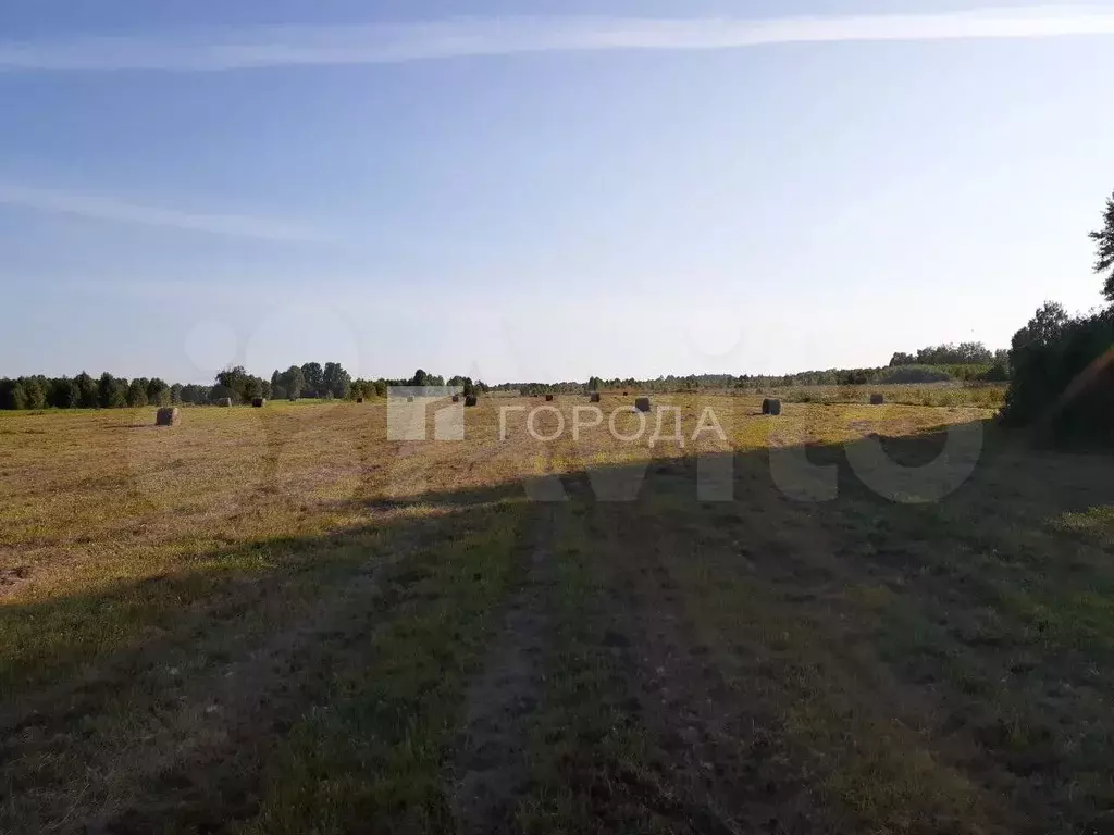 Участок 1,68 га (СНТ, ДНП) - Фото 1