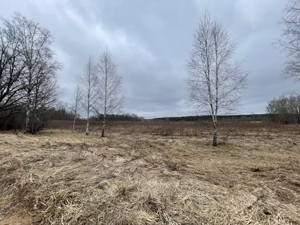 Дом в Тверская область, Торжокский муниципальный округ, д. Скоморохово ... - Фото 2
