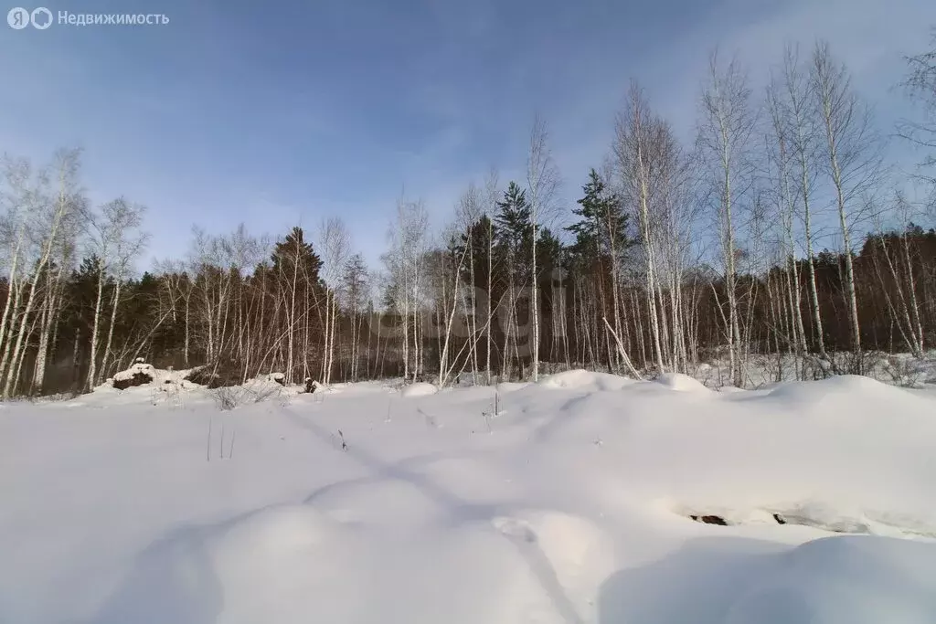 Участок в Иркутский муниципальный округ, деревня Новолисиха, посёлок ... - Фото 2