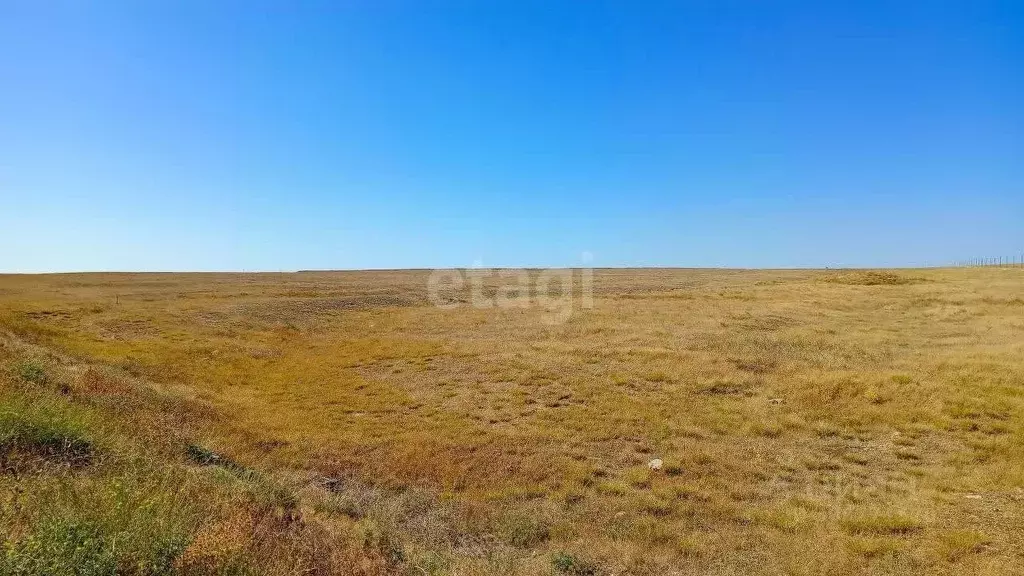 Участок в Крым, Черноморский район, Медведевское с/пос, с. Медведево ... - Фото 0