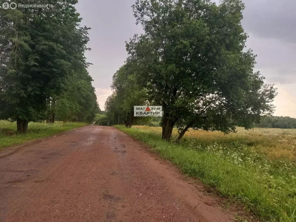 Участок в Смоленский муниципальный округ, деревня Новосельцы ... - Фото 1