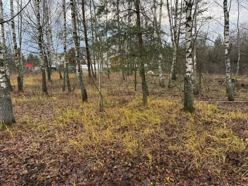 Участок в Московская область, Богородский городской округ, д. Боково  ... - Фото 0