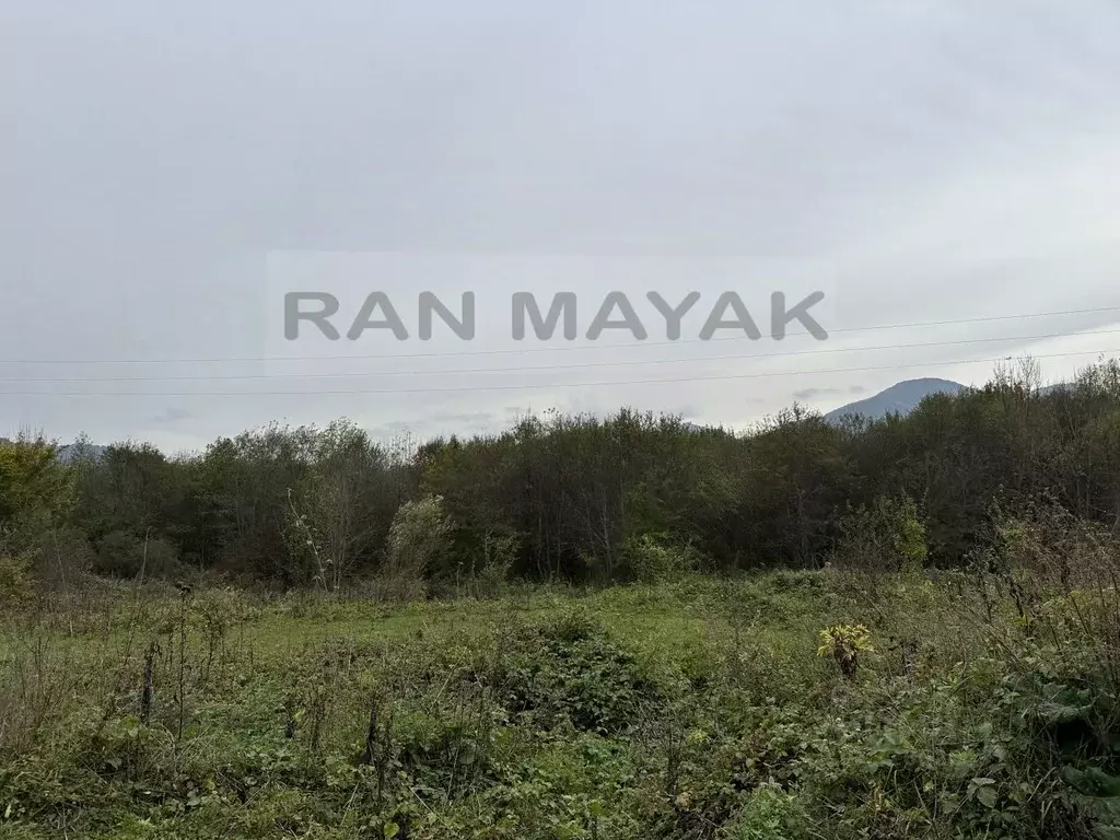 Участок в Адыгея, Майкопский район, Даховская ст-ца Советская ул., 20 ... - Фото 1