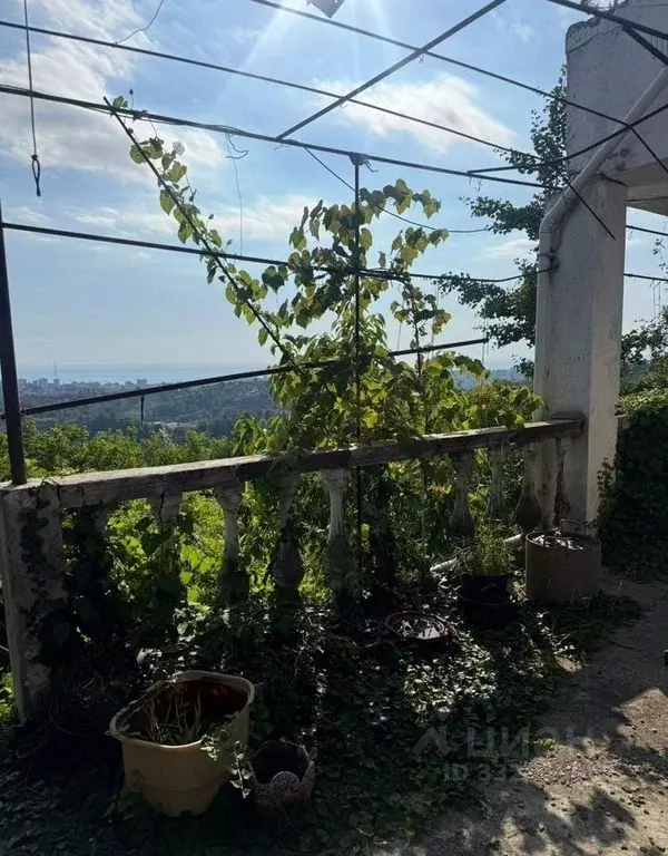 Дом в Краснодарский край, Сочи городской округ, с. Богушевка ул. ... - Фото 2