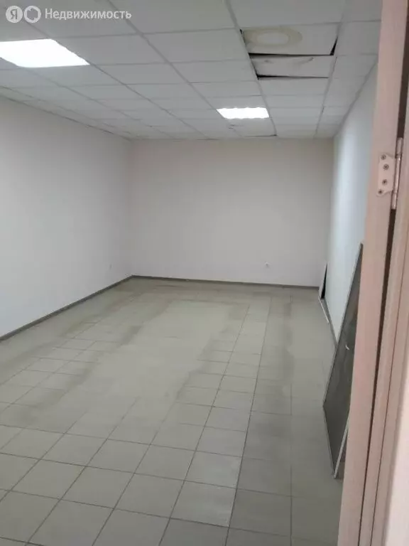 Помещение свободного назначения (13 м) - Фото 0