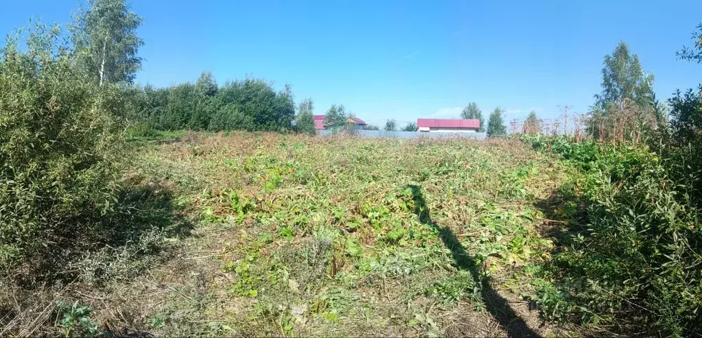 Участок в Московская область, Высоковск Клин городской округ, ул. ... - Фото 0