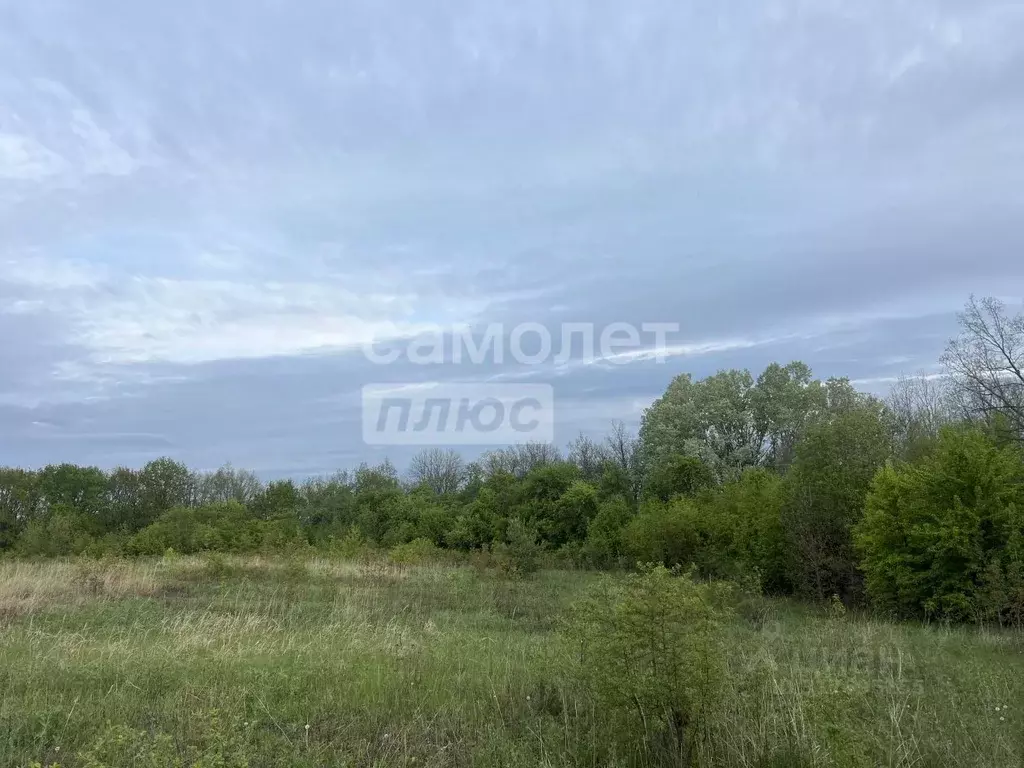 Участок в Курская область, Курский район, Моковский сельсовет, д. ... - Фото 1