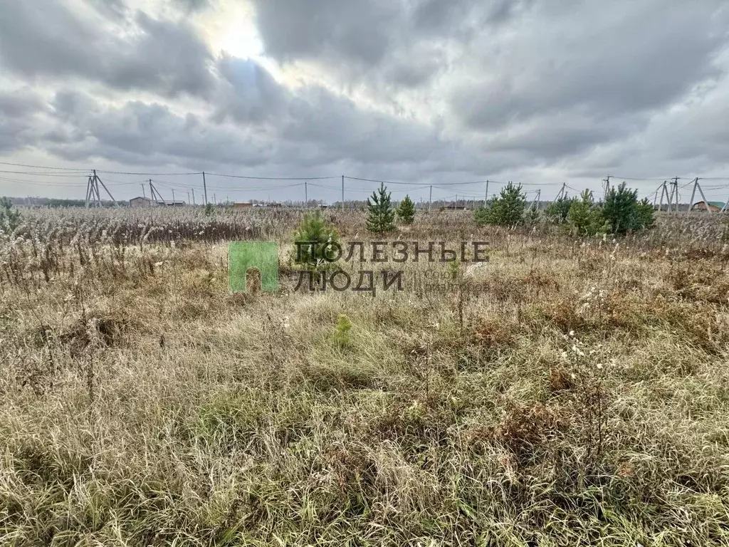Участок в Красноярский край, Емельяново пгт ул. 8-я Долинная, 13 (15.0 ... - Фото 0