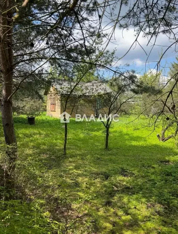 Участок в Московская область, Богородский городской округ, Лесное-2 ... - Фото 2