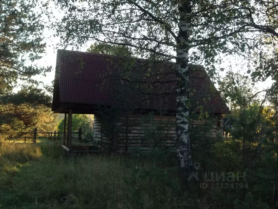 Участок в Тверская область, Осташковский городской округ, д. Уревы  ... - Фото 0