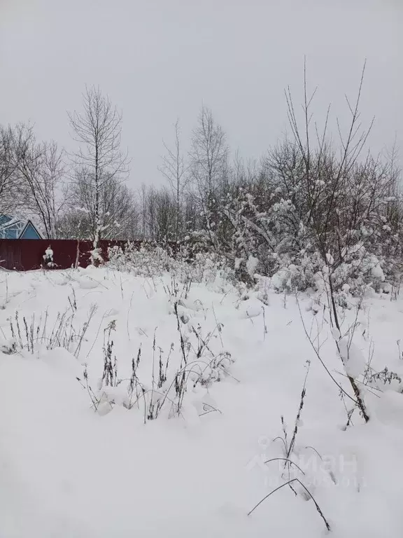 Участок в Московская область, Электросталь городской округ, д. Есино  ... - Фото 1