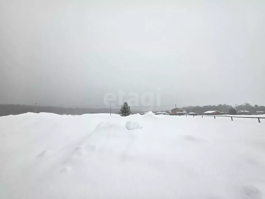 Участок в Владимирская область, Петушинский муниципальный округ, д. ... - Фото 1