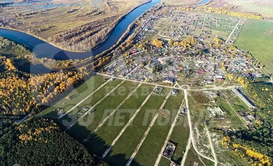 Участок в Тюменская область, Тюменский район, д. Криводанова Лесная ... - Фото 2
