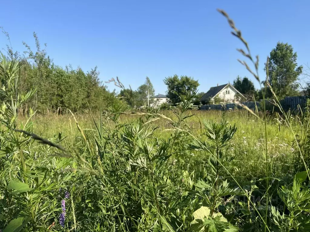 Участок в Московская область, Истра муниципальный округ, с. ... - Фото 0