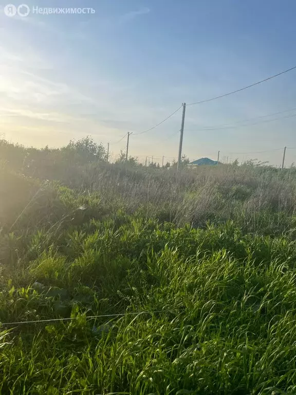 Участок в Ялуторовск, улица Тизенгаузена (10 м) - Фото 0