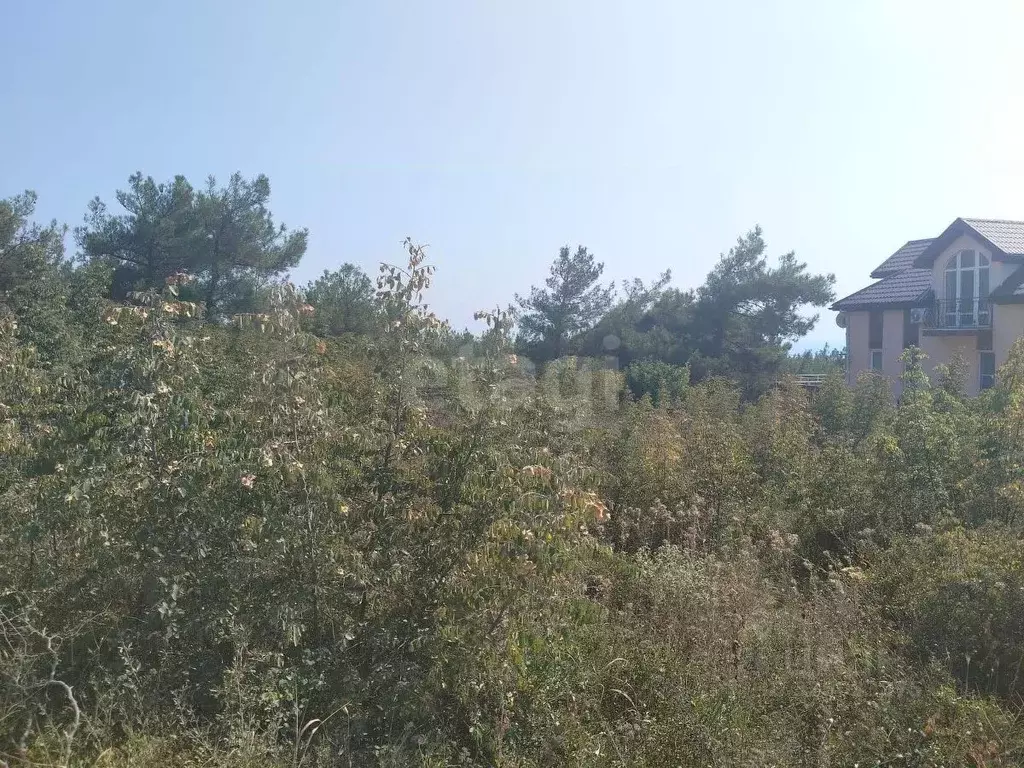 Участок в Краснодарский край, Геленджик  (6.0 сот.) - Фото 1