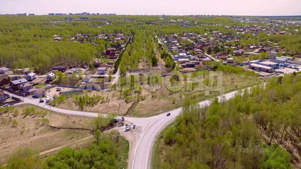 Участок в Новосибирская область, Новосибирский район, Станционный ... - Фото 1