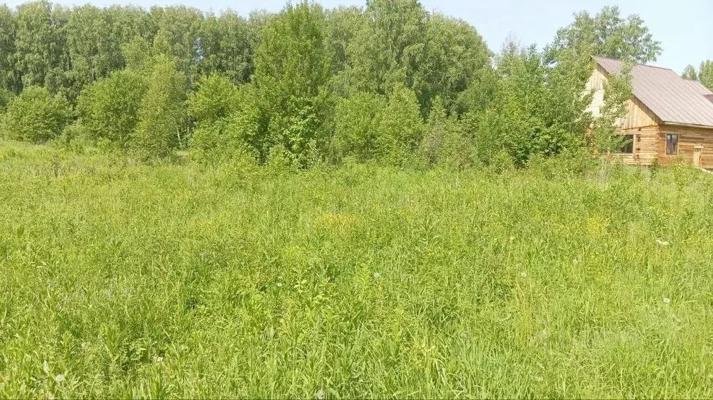 Участок в Томская область, с. Кожевниково ул. Юбилейная (10.0 сот.) - Фото 2