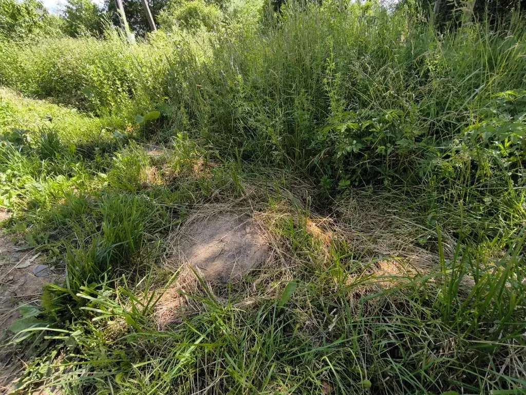 Участок в Тверская область, Калининский муниципальный округ, д. Кадино ... - Фото 2